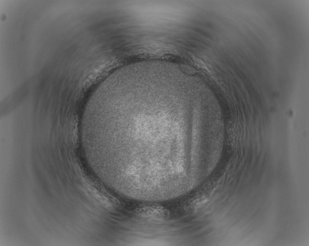 X0000089970642200707131424