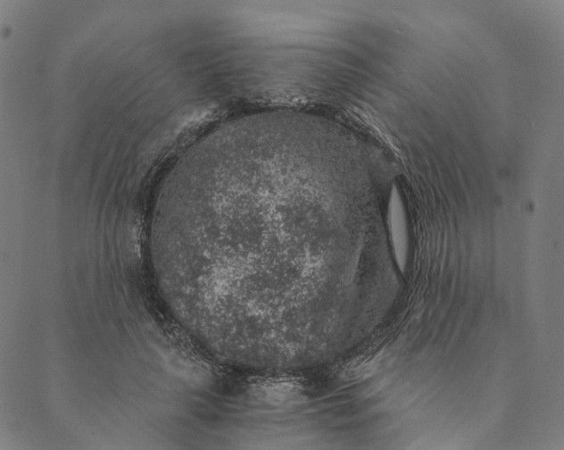 X0000089970643200707131424