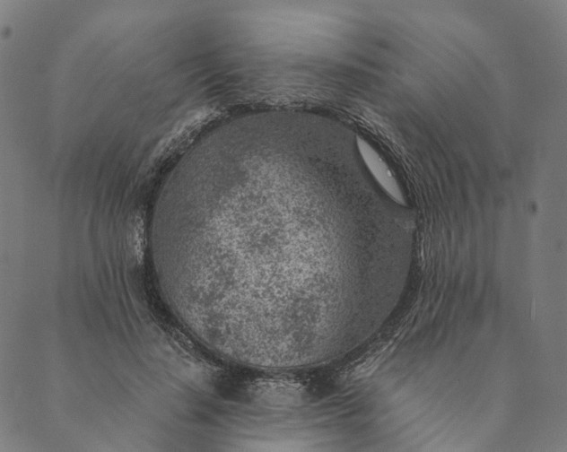 X0000089970644200707131424