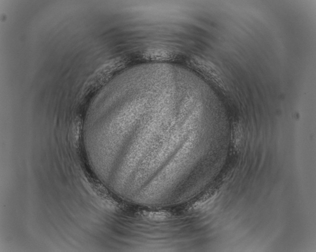 X0000089970645200707131424