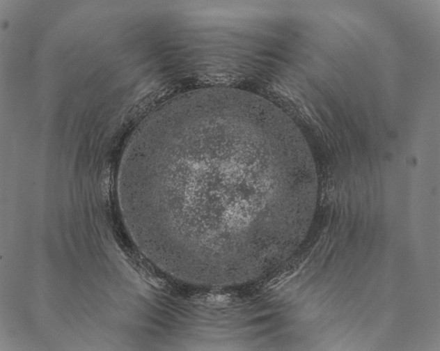 X0000089970647200707131424