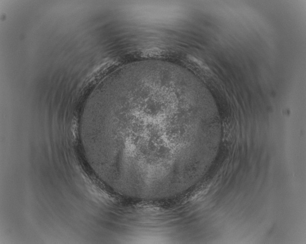 X0000089970648200707131424