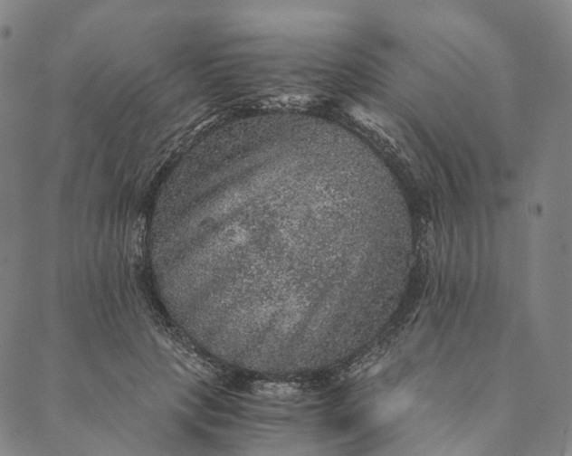 X0000089970649200707131424