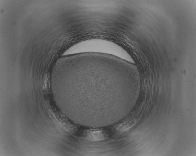 X0000089970651200707131424