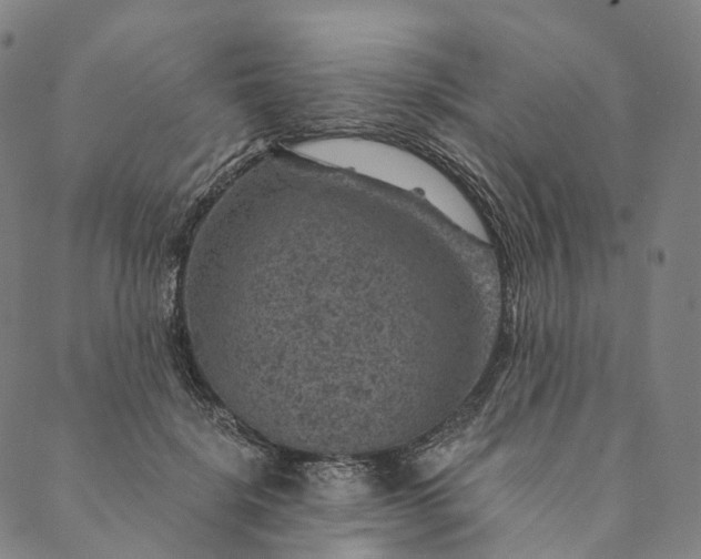 X0000089970652200707131424