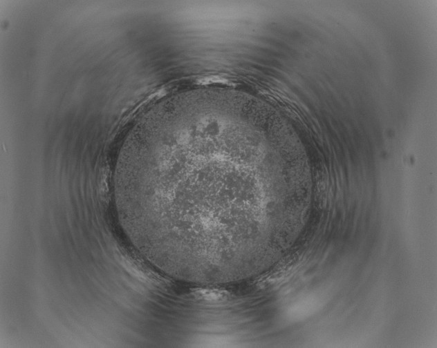 X0000089970654200707131424