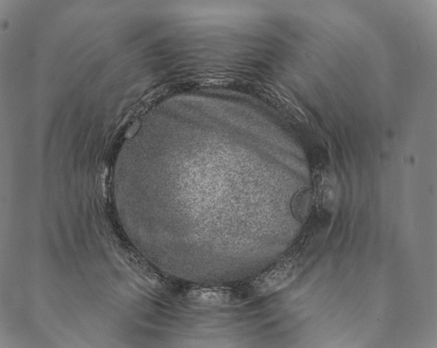 X0000089970655200707131424