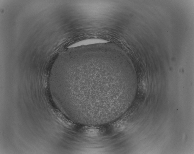 X0000089970658200707131424