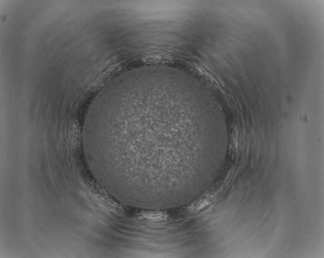 X0000089970659200707131424