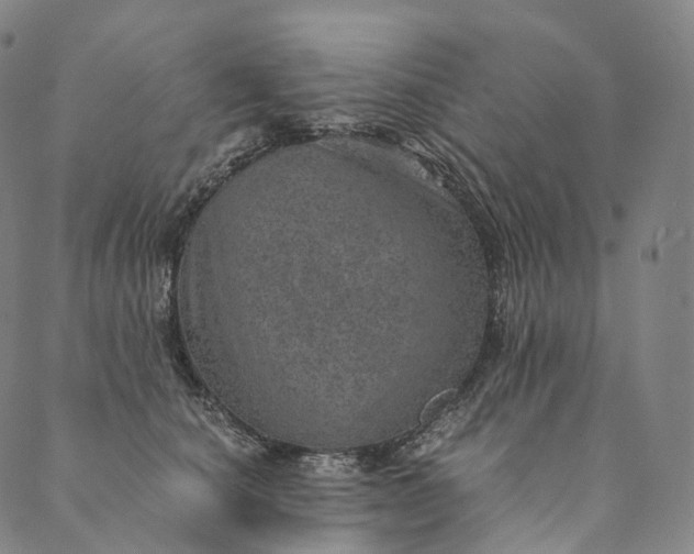 X0000089970660200707131424