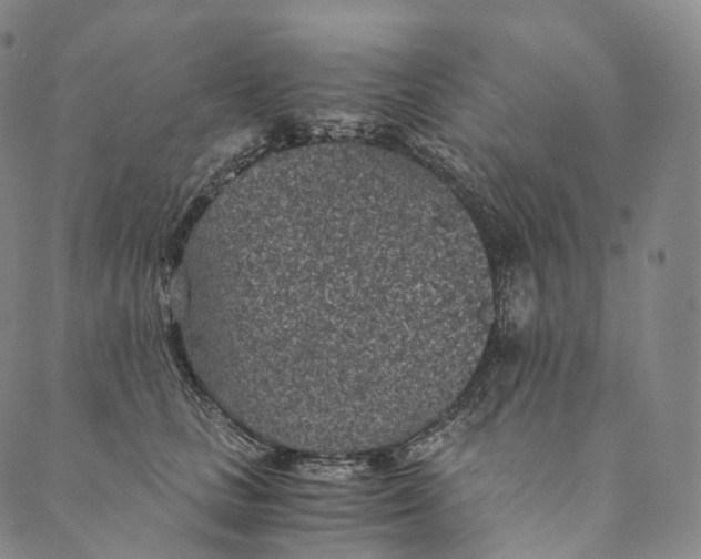 X0000089970661200707131424