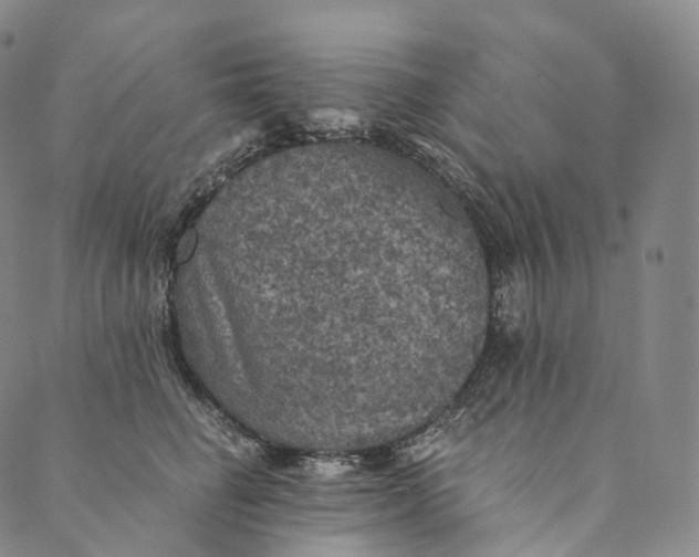 X0000089970662200707131424