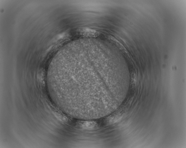 X0000089970663200707131424