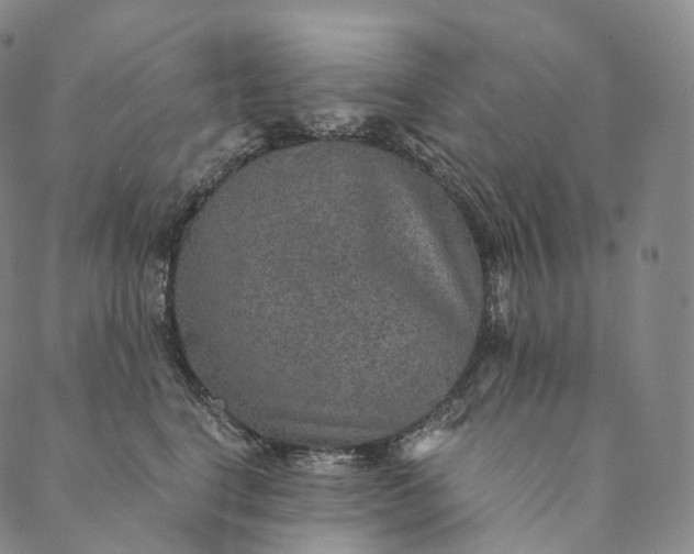 X0000089970664200707131424