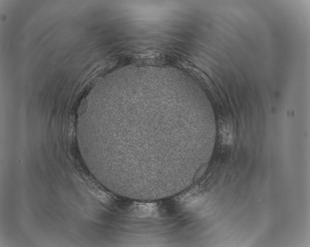 X0000089970665200707131424