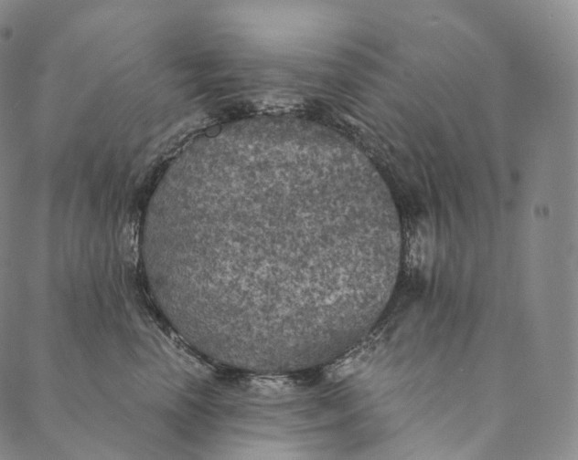 X0000089970666200707131424