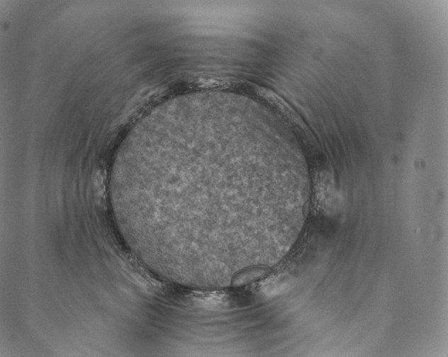 X0000089970667200707131424