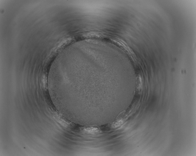 X0000089970669200707131424