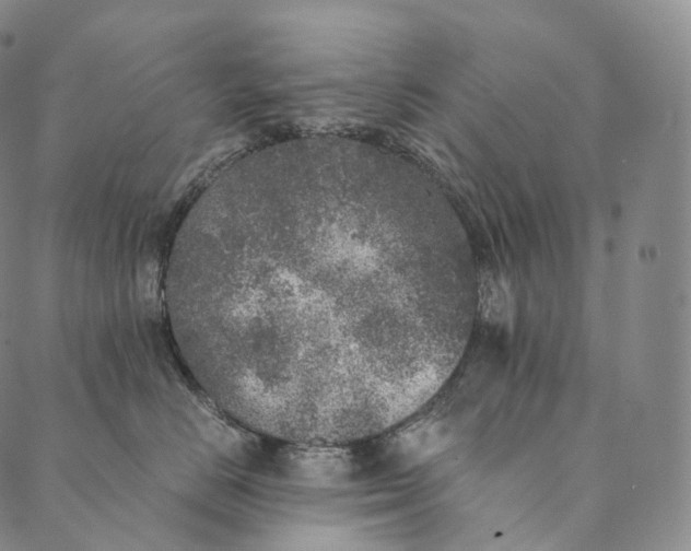 X0000089970670200707131424