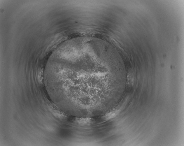 X0000089970671200707131424