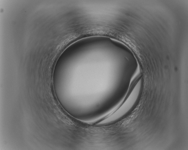 X0000089970673200707131423