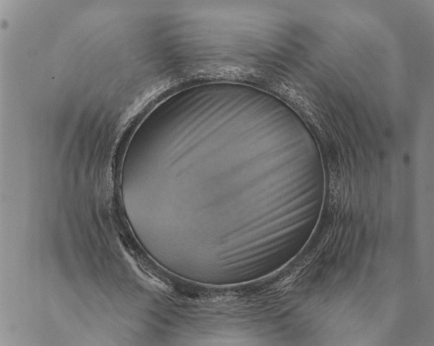 X0000089970674200707131423