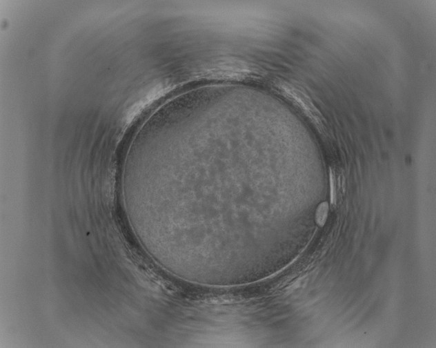 X0000089970675200707131423