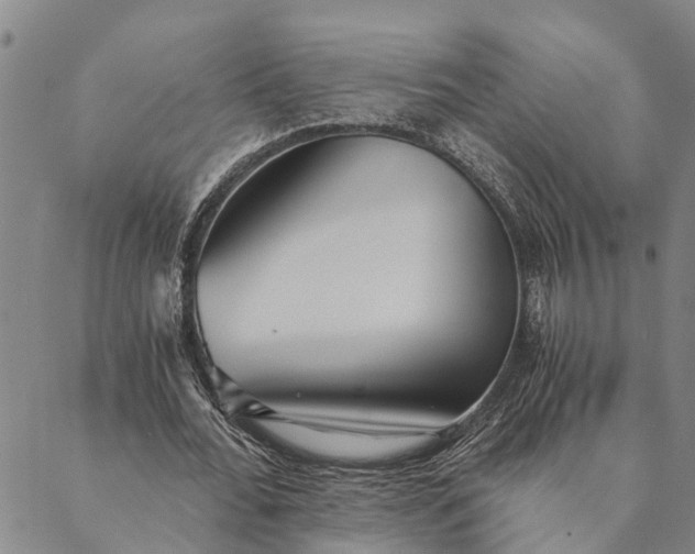 X0000089970676200707131423