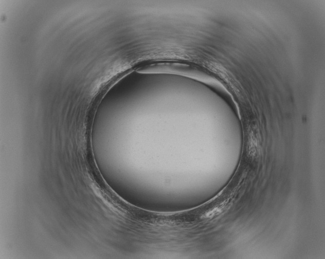 X0000089970677200707131423