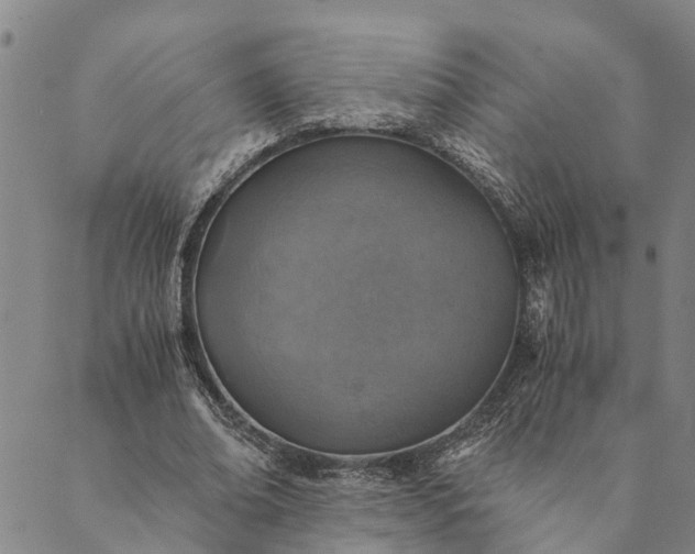 X0000089970678200707131423