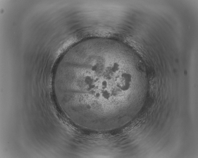 X0000089970679200707131423