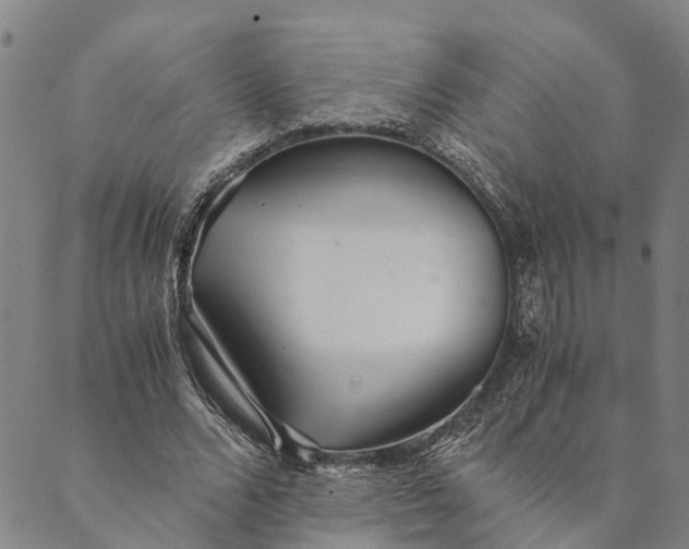 X0000089970680200707131423