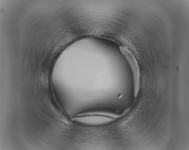 X0000089970681200707131423