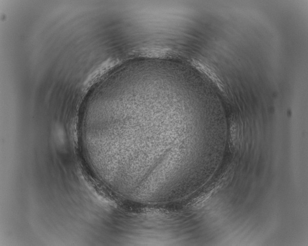 X0000089970682200707131423