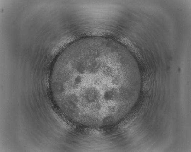 X0000089970683200707131423