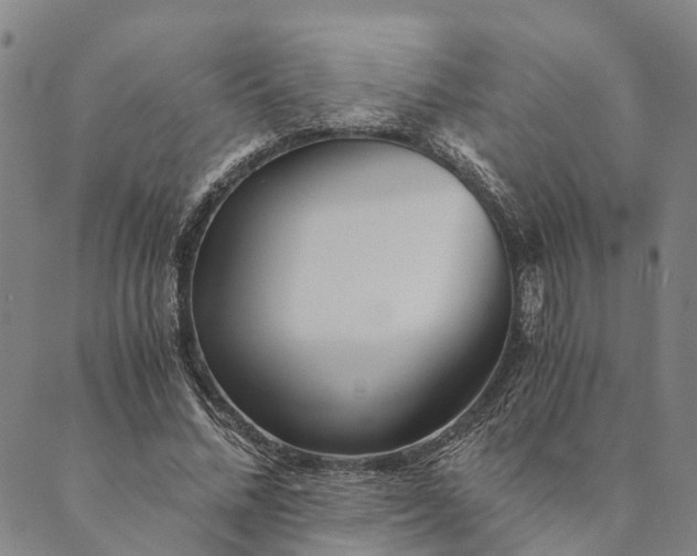 X0000089970684200707131423