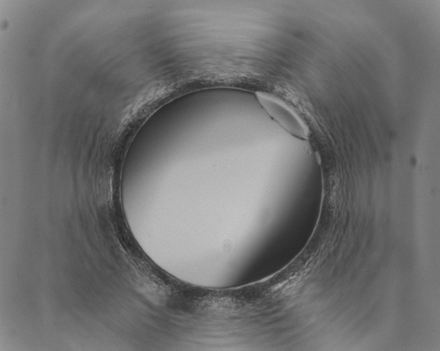 X0000089970685200707131423