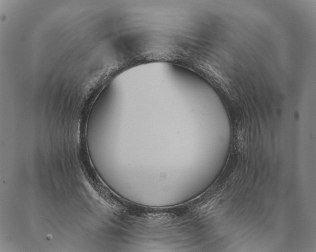 X0000089970686200707131423