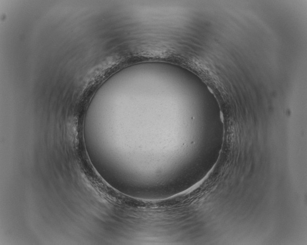 X0000089970688200707131423