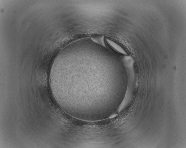 X0000089970689200707131423