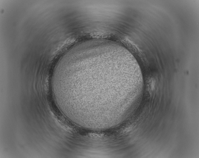 X0000089970690200707131423