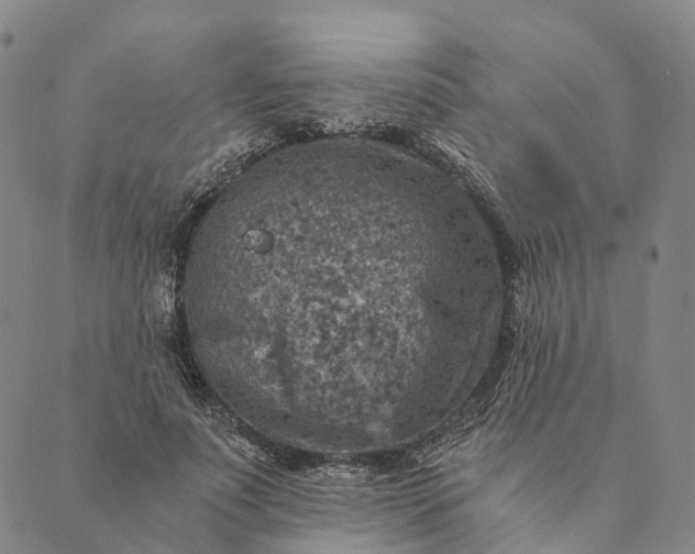 X0000089970691200707131423