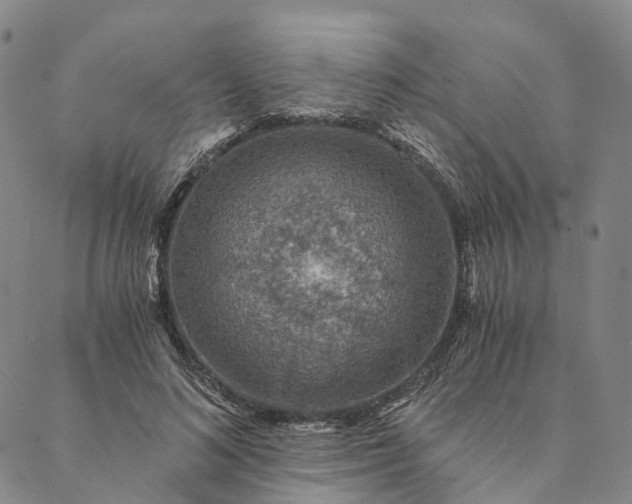 X0000089970692200707131423