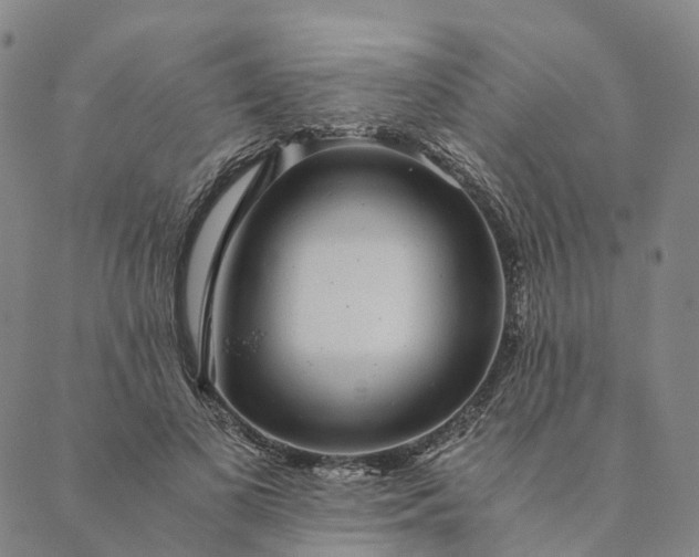 X0000089970693200707131423