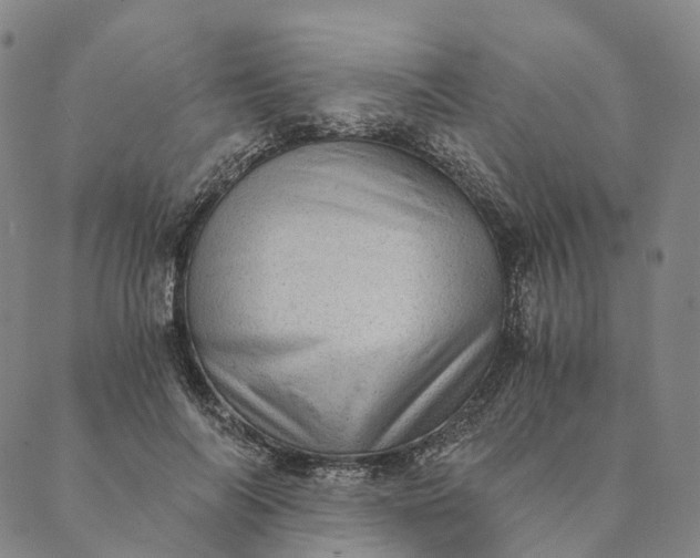 X0000089970694200707131423