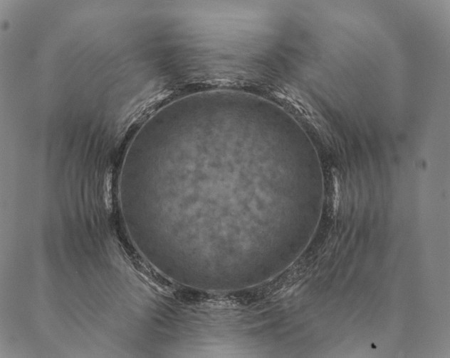 X0000089970696200707131423