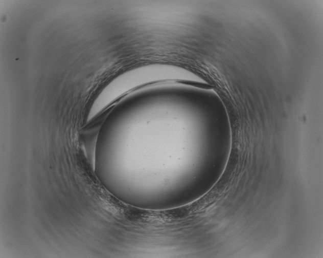 X0000089970697200707131423