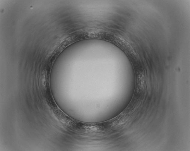 X0000089970698200707131423