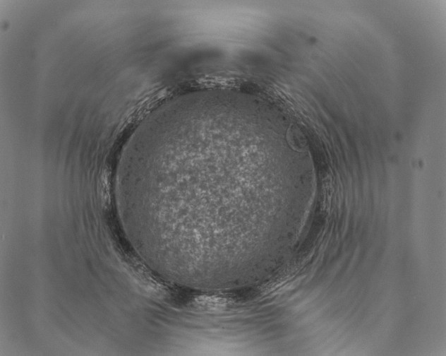 X0000089970699200707131423