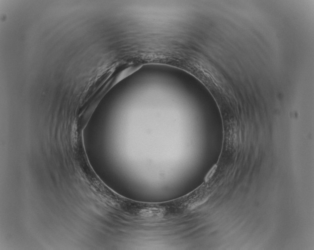 X0000089970700200707131423